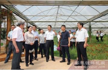 陕煤集团、蒙草生态共商绿色矿山与绿色发展
