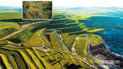 蒙草生态助力“草原煤城”霍林郭勒市探索绿色矿山发展之路！