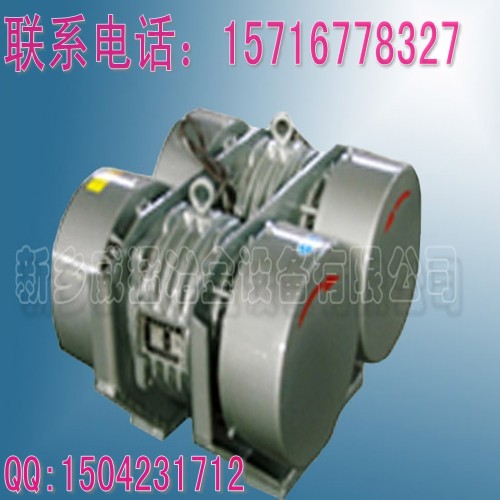 WHZY-2*30-6双胞胎电机 型号齐全 国际标准价格