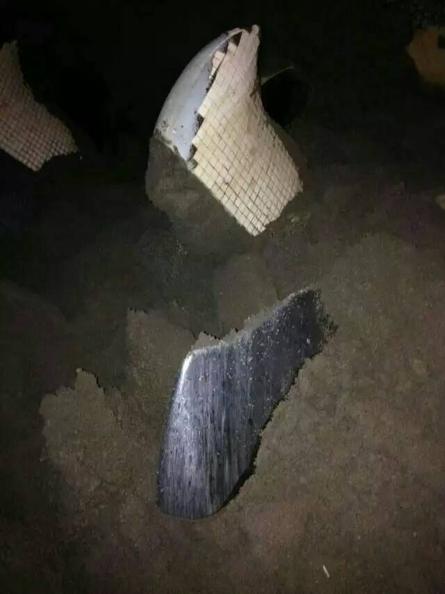 不怕石头的搅拌机叶片产品图片