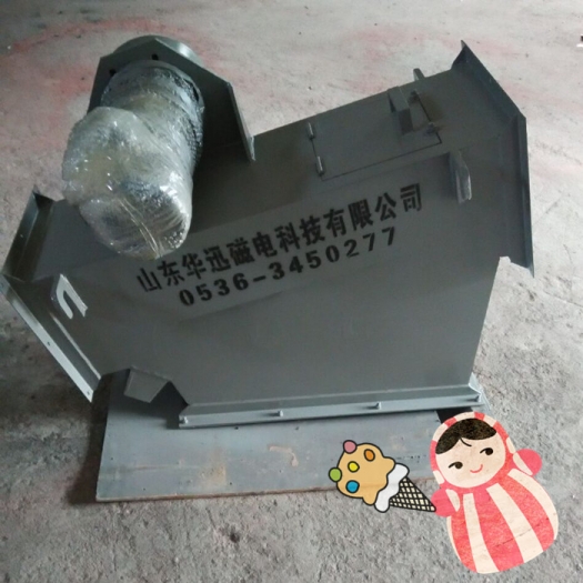华迅除铁器，华迅RCGZ管道除铁器产品图片