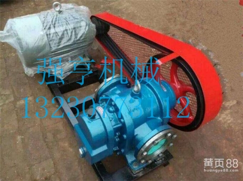 不锈钢罗茨转子泵适用于汽油、柴油、润滑油、油漆、牙膏