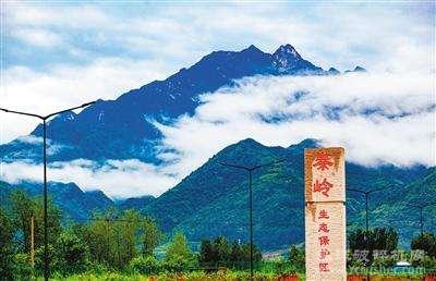 为加快推进矿山生态修复，陕西省设立秦岭矿山生态修复基金！