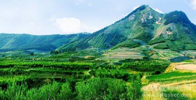 淄博市推进绿色矿山建设，35个生产矿山