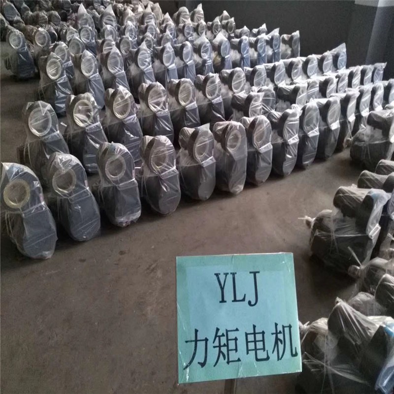 YLEJF系列防摇摆推荐电动机产品图片