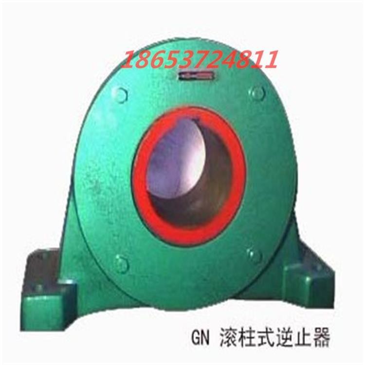  GN(DTIIN1)系列滚柱逆止器