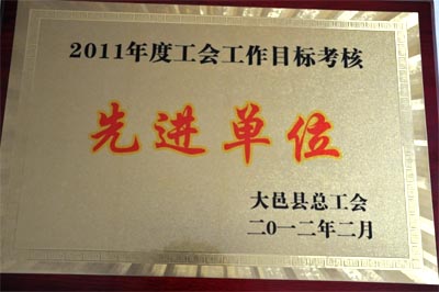 知名破碎机设备厂家—大宏立2011年度工全工作目标考核先进单位